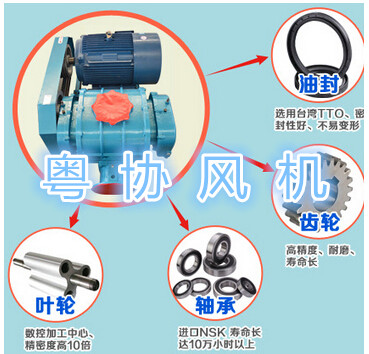 曝氣羅茨風(fēng)機(jī)