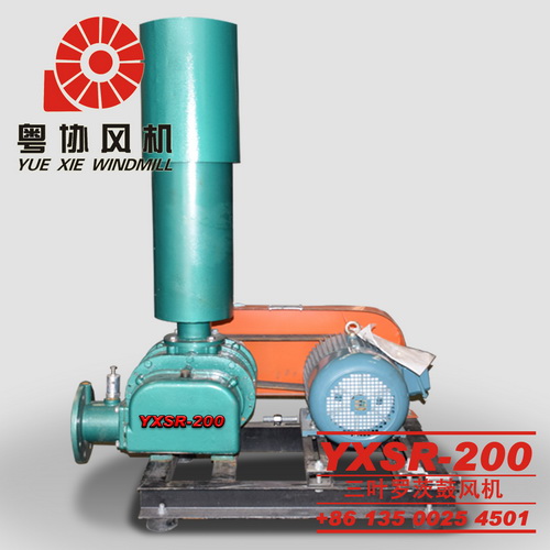 200型羅茨風(fēng)機(jī)