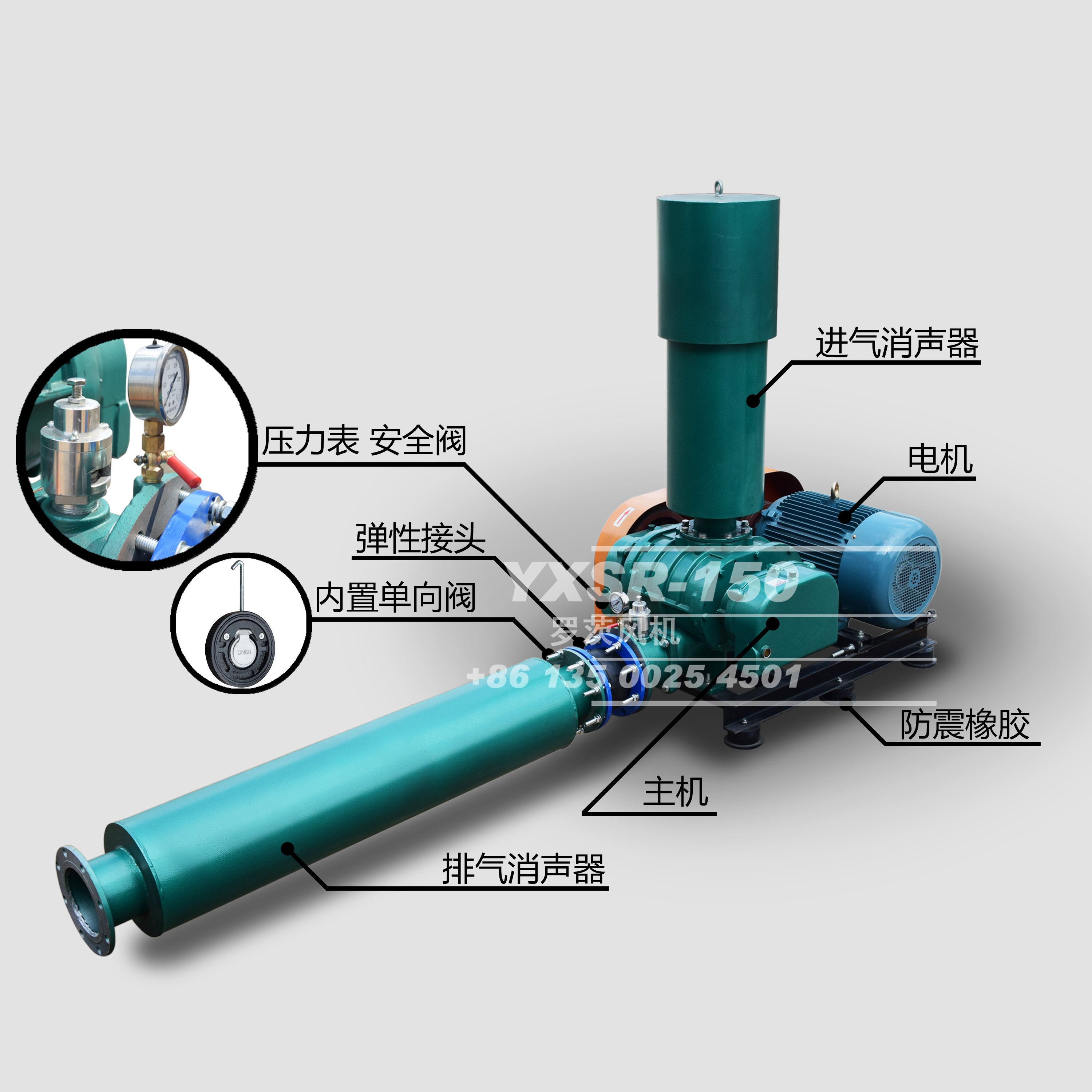 東莞高溫羅茨風(fēng)機